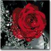 Malowanie po numerach – Róża i krople wody