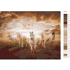 Malowanie po numerach – Białe konie w biegu