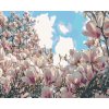 Malowanie po numerach - Kwitnące magnolie