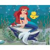 Malowanie po numerach - Mała Syrenka Ariel