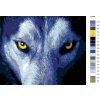 Malowanie po numerach – Wilcze oczy