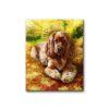 Malowanie po numerach - Cocker Spaniel
