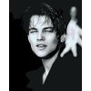 Malowanie po numerach - Leonardo DiCaprio