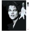 Malowanie po numerach - Leonardo DiCaprio (Wariant płótno bez ramy, Rozmiar 40x50 cm)
