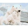Malowanie po numerach - Niedźwiedzie polarne
