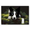 Malowanie po numerach - Border collie w lesie