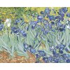 Malowanie po numerach - Irysy (Van Gogh)