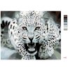Malowanie po numerach - Czarno-biały leopard