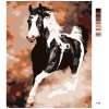 Malowanie po numerach - Srokaty koń w galopie
