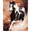 Malowanie po numerach - Srokaty koń w galopie