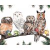 Malowanie po numerach - SOWY Z HERBATĄ (HOLLY SIMENTAL)