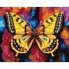 Malowanie po numerach - MOTYL NA KOLOROWYM TLE