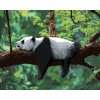 Malowanie po numerach - PANDA LEŻĄCA NA DRZEWIE