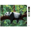 Malowanie po numerach - PANDA LEŻĄCA NA DRZEWIE