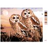 Malowanie po numerach - SOWY - PUSZCZYK ZWYCZAJNY (HOWARD ROBINSON)