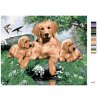 Malowanie po numerach - GOLDEN RETRIEVER I SZCZENIĘTA (HOWARD ROBINSON)