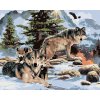 Malowanie po numerach - STADO WILKÓW W GÓRACH (HOWARD ROBINSON)