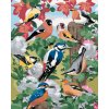 Malowanie po numerach - PTAKI I BIAŁE KWIATY (HOWARD ROBINSON)