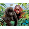 Malowanie po numerach - ORANGUTAN I MAŁY GORYL (HOWARD ROBINSON)