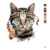 Malowanie po numerach - KOT Z INDIAŃSKĄ OPASKĄ