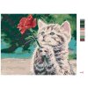 Malowanie po numerach - KOCIĘ I CZERWONA RÓŻA