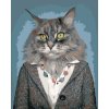 Malowanie po numerach - KOT W UBRANIU