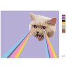 Malowanie po numerach - KOT I LASEROWA TĘCZA