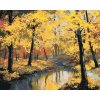 Malowanie po numerach - JESIENNY LAS I RZEKA