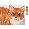 Malowanie po numerach - BEŻOWY KOT Z ZIELONYMI OCZAMI