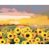 Malowanie po numerach - SŁONECZNIK NA POLU I ZACHÓD SŁOŃCA