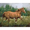 Malowanie po numerach - BRĄZOWY KOŃ NA PASTWISKU POD LASEM