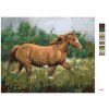 Malowanie po numerach - BRĄZOWY KOŃ NA PASTWISKU POD LASEM