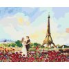 Malowanie po numerach - WIEŻA EIFFLA I RÓŻE
