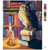 Malowanie po numerach - SOWA W BIBLIOTECE