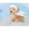 Malowanie po numerach - PIES ANIOŁ NA OBŁOKU