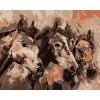 Malowanie po numerach - MALOWANE KONIE W ODCIENIACH BRĄZU