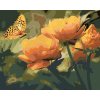 Malowanie po numerach - MOTYL I POMARAŃCZOWE KWIATY
