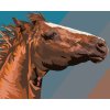 Malowanie po numerach - PORTRET BRĄZOWEGO KONIA