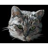 Malowanie po numerach - SZARY KOT - PORTRET