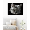 Malowanie po numerach - SZARY KOT - PORTRET