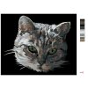 Malowanie po numerach - SZARY KOT - PORTRET