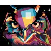 Malowanie po numerach - KOLOROWA SOWA PORTRET