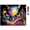 Malowanie po numerach - KOLOROWA SOWA PORTRET