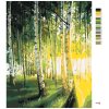 Malowanie po numerach - BRZOZY W SŁONECZNYM LESIE