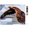 Malowanie po numerach - BRĄZOWY ORZEŁ W LOCIE