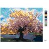 Malowanie po numerach - SAKURA NAD POTOKIEM (Wariant płótno bez ramy, Rozmiar 40x50 cm)