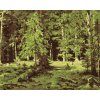 Malowanie po numerach - LAS (IVAN SHISHKIN)