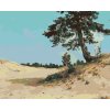 Malowanie po numerach - SOSNA NA PIASKU (IVAN SHISHKIN)