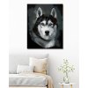 Malowanie po numerach - HUSKY - PORTRET