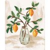 Malowanie po numerach - CYTRYNY W WAZONIE 4 (HALEY BUSH)